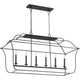 Quoizel - Gallery Linear Suspension - Lights Canada