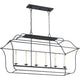 Quoizel - Gallery Linear Suspension - Lights Canada