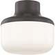 Mitzi - Livvy 1 Light Flush Mount - Lights Canada