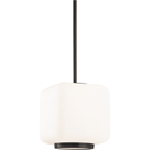 Mitzi - Jenny 1 Light Large Pendant - Lights Canada