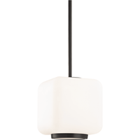 Jenny 1 Light Large Pendant