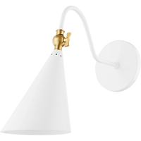 Lupe 1-Light Sconce