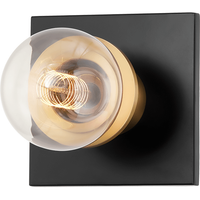Brandi 1-Light Vanity Light