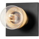 Mitzi - Brandi 1-Light Vanity Light - Lights Canada