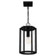 Quoizel - Hazel Mini Pendant - Lights Canada