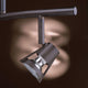 Kendal Lighting - Sorella Track Light - Lights Canada