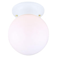 Ceiling Light Semi Flush Mount