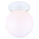 Canarm - Ceiling Light Semi Flush Mount - Lights Canada
