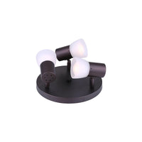 Hudson Flush Mount