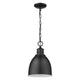 Acclaim - Colby Pendant - Lights Canada