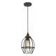Acclaim - Loft Pendant - Lights Canada
