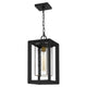 Quoizel - Infinger Outdoor Pendant - Lights Canada