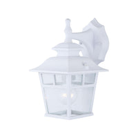 Fieldouse Outdoor Wall Light