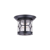 Atlanta Outdoor Ceiling Light