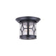 Canarm - Atlanta Outdoor Ceiling Light - Lights Canada