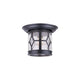 Canarm - Atlanta Outdoor Ceiling Light - Lights Canada