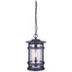 Canarm - Duffy Outdoor Pendant - Lights Canada