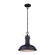 Canarm - Marcella Outdoor Pendant - Lights Canada