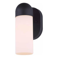 Canarm Callen Outdoor Ceiling Light