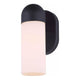 Canarm - Canarm Callen Outdoor Ceiling Light - Lights Canada