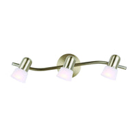 Omni Track Light
