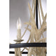 Quoizel - Journey Chandelier - Lights Canada