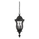 Savoy House - Monticello Outdoor Pendant - Lights Canada