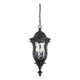 Savoy House - Monticello Outdoor Pendant - Lights Canada