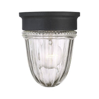 Exterior Collections Outdoor Ceiling Light
