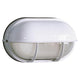 Galaxy Lighting - Outdoor Wall Light - Lights Canada