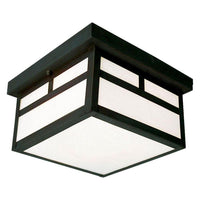 Outdoor Ceiling Light