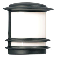 Outdoor Wall Light