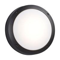 Outdoor Wall Light