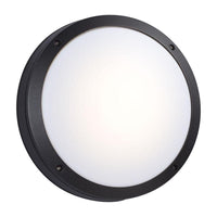Outdoor Wall Light
