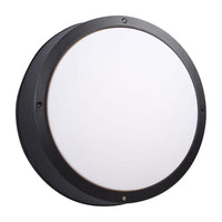 Outdoor Wall Light