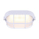 Canarm - LED Outdoor Wall Light - Lights Canada