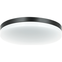 Orion Flush Mount