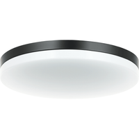 Orion Flush Mount