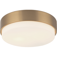 Quintz 2-Light Flush Mount