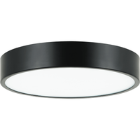 Plato Flush Mount