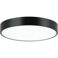 Plato Flush Mount