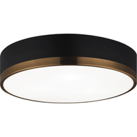 Trydor Flush Mount