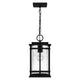 Quoizel - McAlister Mini Pendant - Lights Canada