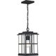 Quoizel - Mulligan Mini Pendant - Lights Canada