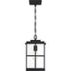 Quoizel - Mulligan Mini Pendant - Lights Canada