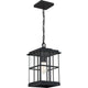 Quoizel - Mulligan Mini Pendant - Lights Canada