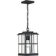 Quoizel - Mulligan Outdoor Pendant - Lights Canada