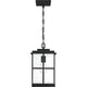 Quoizel - Mulligan Outdoor Pendant - Lights Canada