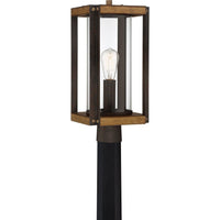 Marion Square Post Light