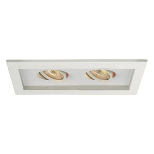 WAC Lighting - Low Voltage Multiple Two Light Trim - Lights Canada